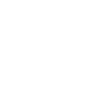 WINGMAN DENIM